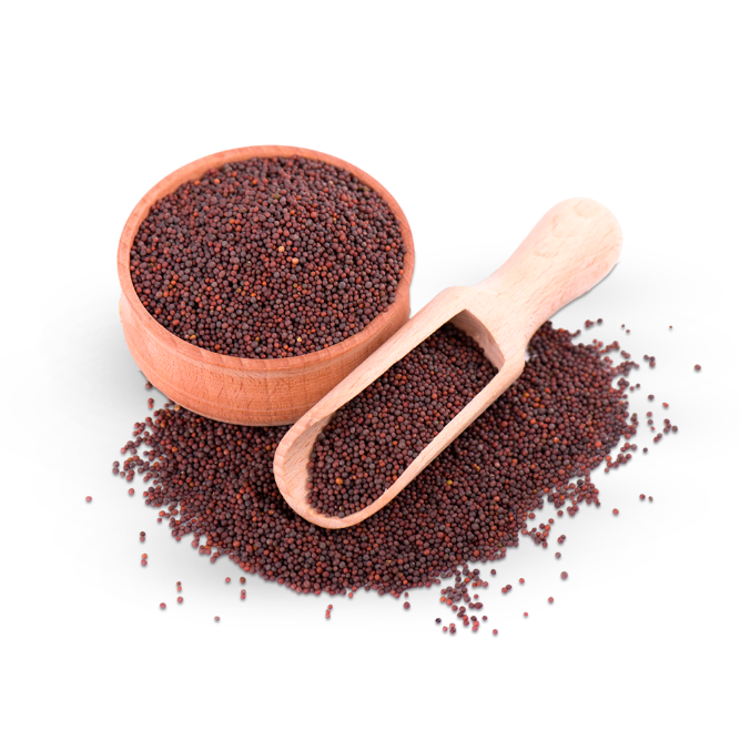 quinoa vermelha