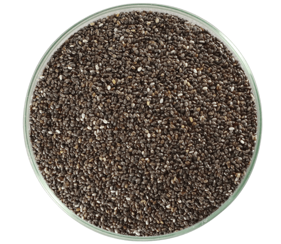 chia em grãos