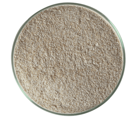 farinha de trigo integral