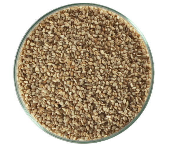 gergelim branco com casca