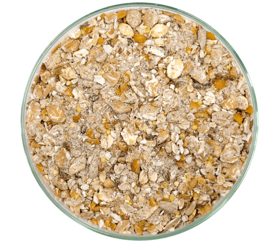 granola para panificação 14 cereais