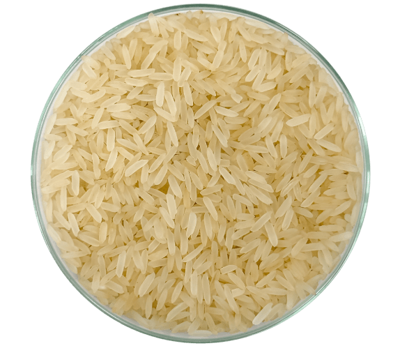 grãos de arroz integral