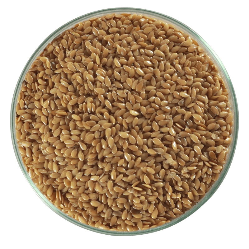 linhaça dourada em grãos